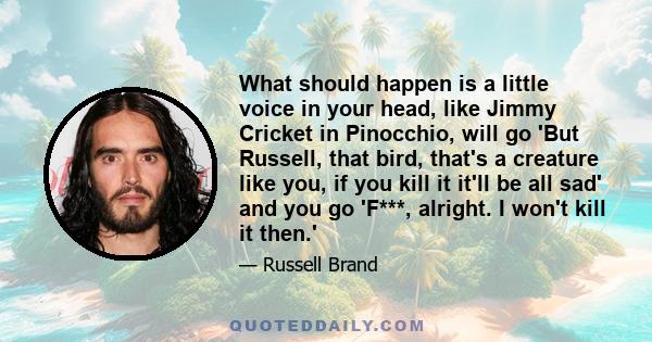 What should happen is a little voice in your head, like Jimmy Cricket in Pinocchio, will go 'But Russell, that bird, that's a creature like you, if you kill it it'll be all sad' and you go 'F***, alright. I won't kill