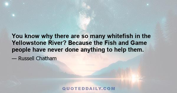 You know why there are so many whitefish in the Yellowstone River? Because the Fish and Game people have never done anything to help them.