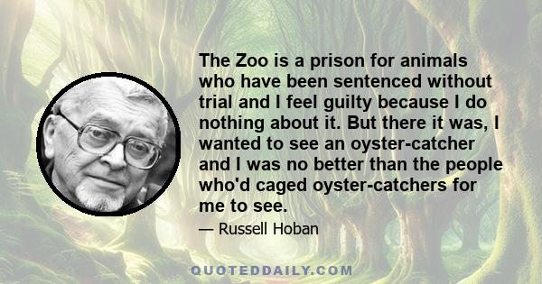 The Zoo is a prison for animals who have been sentenced without trial and I feel guilty because I do nothing about it. But there it was, I wanted to see an oyster-catcher and I was no better than the people who'd caged