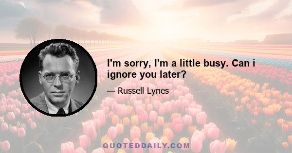 I'm sorry, I'm a little busy. Can i ignore you later?