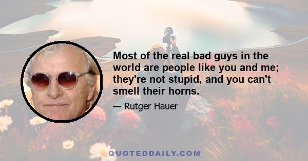 Most of the real bad guys in the world are people like you and me; they're not stupid, and you can't smell their horns.