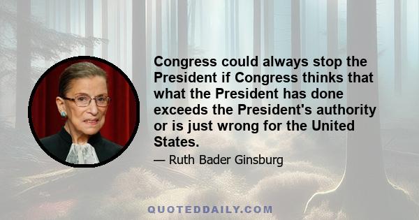 Congress could always stop the President if Congress thinks that what the President has done exceeds the President's authority or is just wrong for the United States.