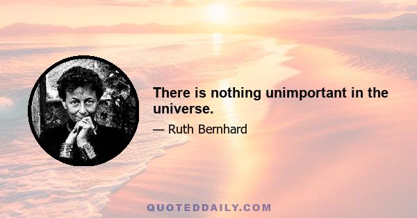 There is nothing unimportant in the universe.