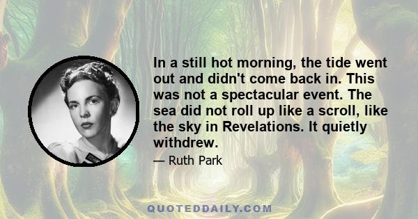 In a still hot morning, the tide went out and didn't come back in. This was not a spectacular event. The sea did not roll up like a scroll, like the sky in Revelations. It quietly withdrew.