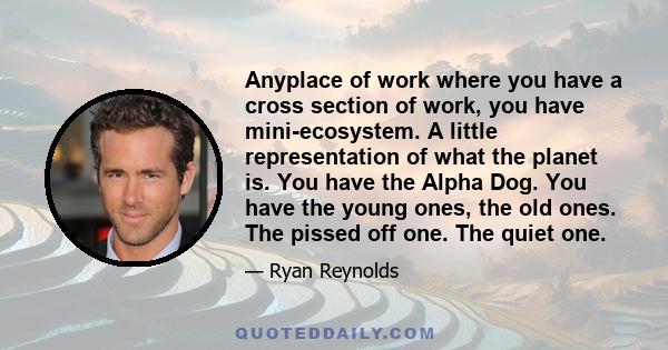 Anyplace of work where you have a cross section of work, you have mini-ecosystem. A little representation of what the planet is. You have the Alpha Dog. You have the young ones, the old ones. The pissed off one. The