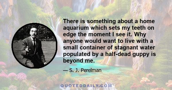 There is something about a home aquarium which sets my teeth on edge the moment I see it. Why anyone would want to live with a small container of stagnant water populated by a half-dead guppy is beyond me.