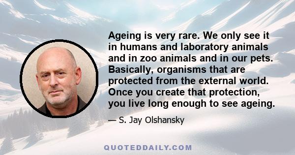 Ageing is very rare. We only see it in humans and laboratory animals and in zoo animals and in our pets. Basically, organisms that are protected from the external world. Once you create that protection, you live long