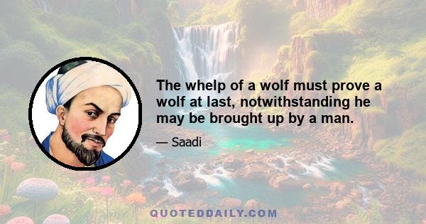 The whelp of a wolf must prove a wolf at last, notwithstanding he may be brought up by a man.