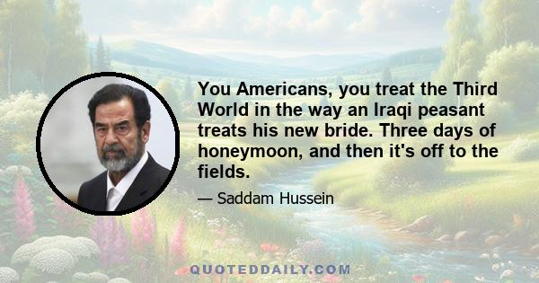 You Americans, you treat the Third World in the way an Iraqi peasant treats his new bride. Three days of honeymoon, and then it's off to the fields.