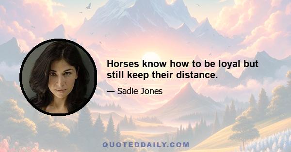 Horses know how to be loyal but still keep their distance.