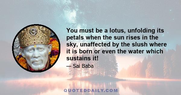 You must be a lotus, unfolding its petals when the sun rises in the sky, unaffected by the slush where it is born or even the water which sustains it!