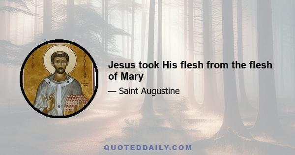 Jesus took His flesh from the flesh of Mary