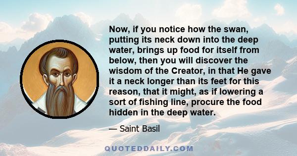 Now, if you notice how the swan, putting its neck down into the deep water, brings up food for itself from below, then you will discover the wisdom of the Creator, in that He gave it a neck longer than its feet for this 