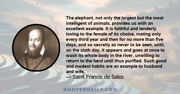 The elephant, not only the largest but the most intelligent of animals, provides us with an excellent example. It is faithful and tenderly loving to the female of its choice, mating only every third year and then for no 