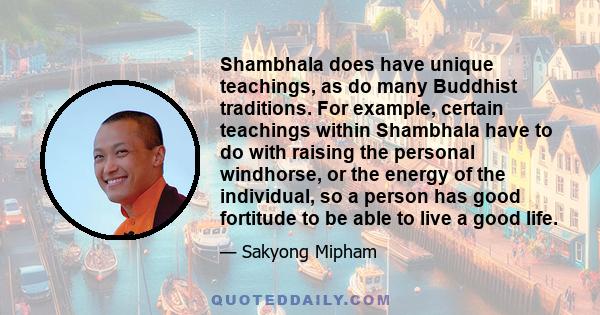 Shambhala does have unique teachings, as do many Buddhist traditions. For example, certain teachings within Shambhala have to do with raising the personal windhorse, or the energy of the individual, so a person has good 