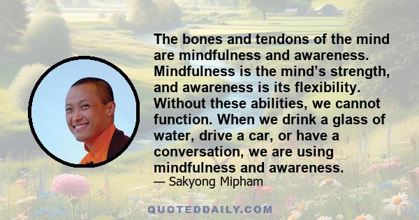 The bones and tendons of the mind are mindfulness and awareness. Mindfulness is the mind’s strength, and awareness is its flexibility. Without these abilities, we cannot function. When we drink a glass of water, drive a 