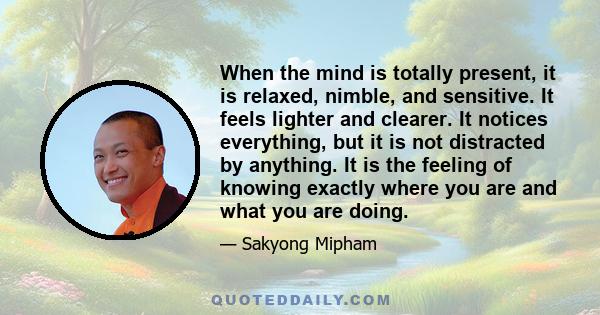 When the mind is totally present, it is relaxed, nimble, and sensitive. It feels lighter and clearer. It notices everything, but it is not distracted by anything. It is the feeling of knowing exactly where you are and