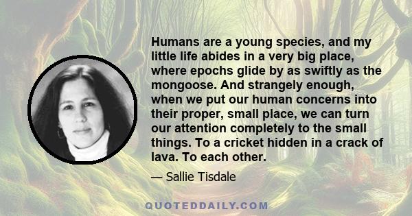 Humans are a young species, and my little life abides in a very big place, where epochs glide by as swiftly as the mongoose. And strangely enough, when we put our human concerns into their proper, small place, we can