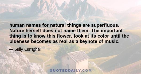 human names for natural things are superfluous. Nature herself does not name them. The important thing is to know this flower, look at its color until the blueness becomes as real as a keynote of music.