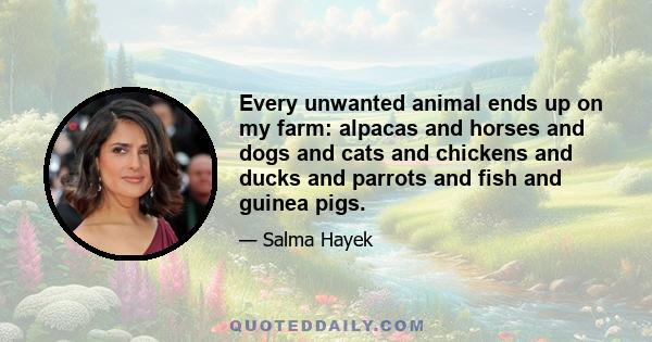 Every unwanted animal ends up on my farm: alpacas and horses and dogs and cats and chickens and ducks and parrots and fish and guinea pigs.