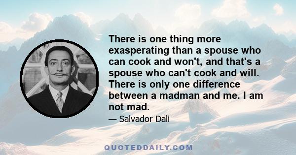 There is one thing more exasperating than a spouse who can cook and won't, and that's a spouse who can't cook and will. There is only one difference between a madman and me. I am not mad.