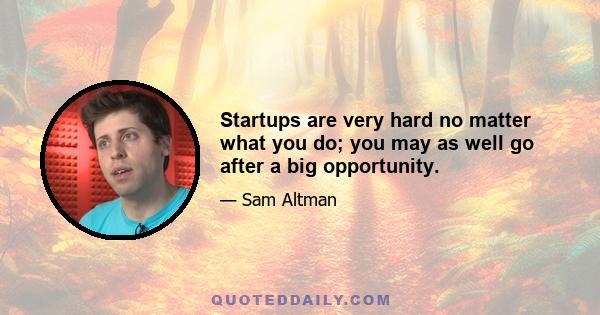 Startups are very hard no matter what you do; you may as well go after a big opportunity.