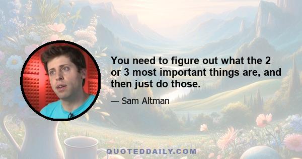 You need to figure out what the 2 or 3 most important things are, and then just do those.