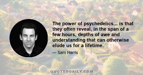 The power of psychedelics... is that they often reveal, in the span of a few hours, depths of awe and understanding that can otherwise elude us for a lifetime.