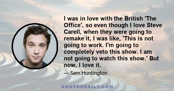 I was in love with the British 'The Office', so even though I love Steve Carell, when they were going to remake it, I was like, 'This is not going to work. I'm going to completely veto this show. I am not going to watch 