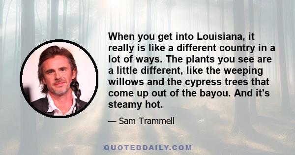 When you get into Louisiana, it really is like a different country in a lot of ways. The plants you see are a little different, like the weeping willows and the cypress trees that come up out of the bayou. And it's