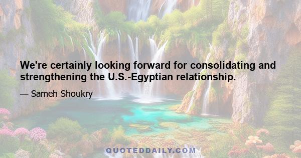 We're certainly looking forward for consolidating and strengthening the U.S.-Egyptian relationship.