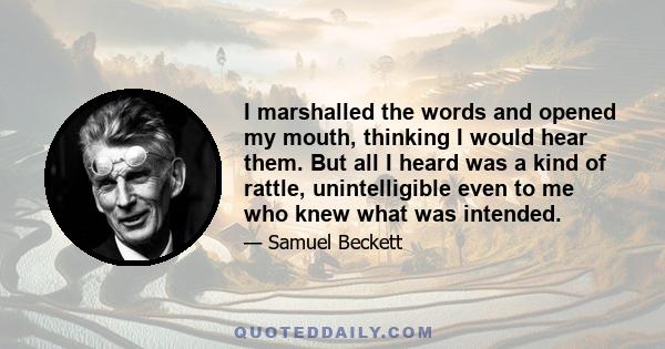 I marshalled the words and opened my mouth, thinking I would hear them. But all I heard was a kind of rattle, unintelligible even to me who knew what was intended.