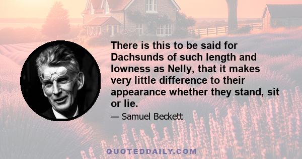 There is this to be said for Dachsunds of such length and lowness as Nelly, that it makes very little difference to their appearance whether they stand, sit or lie.