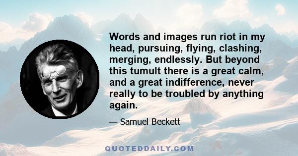 Words and images run riot in my head, pursuing, flying, clashing, merging, endlessly. But beyond this tumult there is a great calm, and a great indifference, never really to be troubled by anything again.