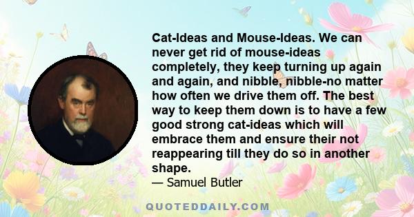 Cat-Ideas and Mouse-Ideas. We can never get rid of mouse-ideas completely, they keep turning up again and again, and nibble, nibble-no matter how often we drive them off. The best way to keep them down is to have a few