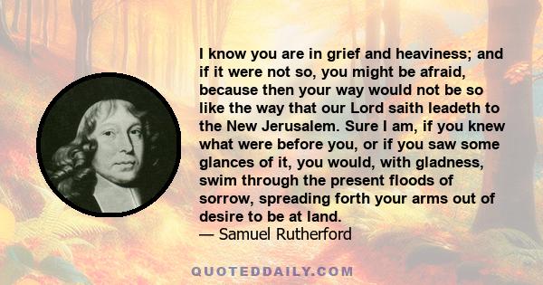 I know you are in grief and heaviness; and if it were not so, you might be afraid, because then your way would not be so like the way that our Lord saith leadeth to the New Jerusalem. Sure I am, if you knew what were