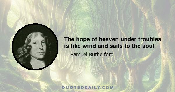 The hope of heaven under troubles is like wind and sails to the soul.