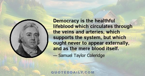 Democracy is the healthful lifeblood which circulates through the veins and arteries, which supports the system, but which ought never to appear externally, and as the mere blood itself.