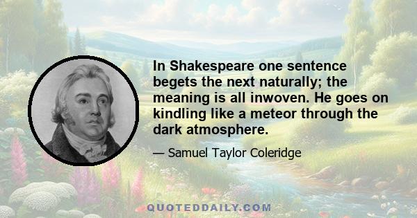 In Shakespeare one sentence begets the next naturally; the meaning is all inwoven. He goes on kindling like a meteor through the dark atmosphere.