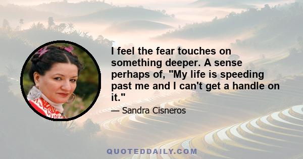 I feel the fear touches on something deeper. A sense perhaps of, My life is speeding past me and I can't get a handle on it.