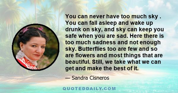 You can never have too much sky . You can fall asleep and wake up drunk on sky, and sky can keep you safe when you are sad. Here there is too much sadness and not enough sky. Butterflies too are few and so are flowers