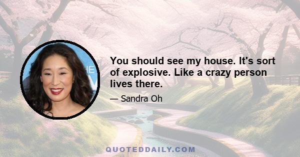 You should see my house. It's sort of explosive. Like a crazy person lives there.