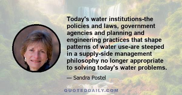 Today's water institutions-the policies and laws, government agencies and planning and engineering practices that shape patterns of water use-are steeped in a supply-side management philosophy no longer appropriate to