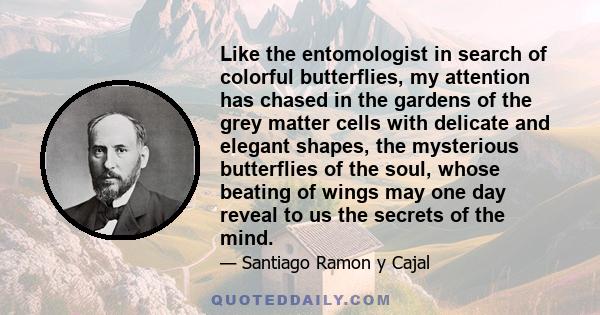 Like the entomologist in search of colorful butterflies, my attention has chased in the gardens of the grey matter cells with delicate and elegant shapes, the mysterious butterflies of the soul, whose beating of wings