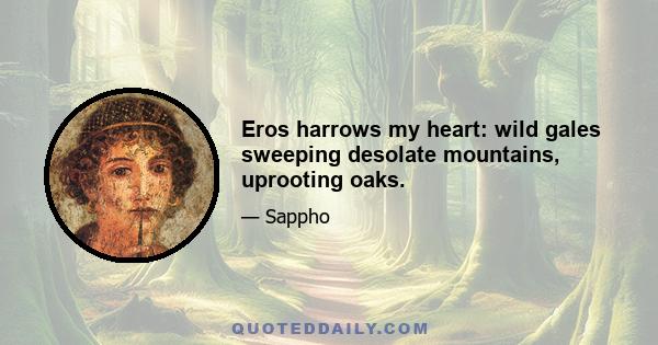 Eros harrows my heart: wild gales sweeping desolate mountains, uprooting oaks.