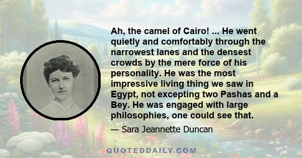 Ah, the camel of Cairo! ... He went quietly and comfortably through the narrowest lanes and the densest crowds by the mere force of his personality. He was the most impressive living thing we saw in Egypt, not excepting 