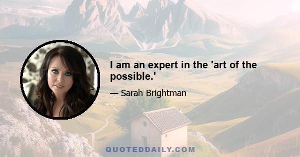 I am an expert in the 'art of the possible.'