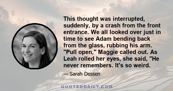 This thought was interrupted, suddenly, by a crash from the front entrance. We all looked over just in time to see Adam bending back from the glass, rubbing his arm. Pull open, Maggie called out. As Leah rolled her