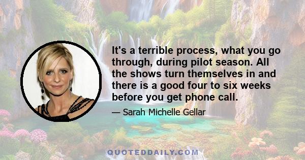 It's a terrible process, what you go through, during pilot season. All the shows turn themselves in and there is a good four to six weeks before you get phone call.