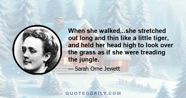 When she walked...she stretched out long and thin like a little tiger, and held her head high to look over the grass as if she were treading the jungle.